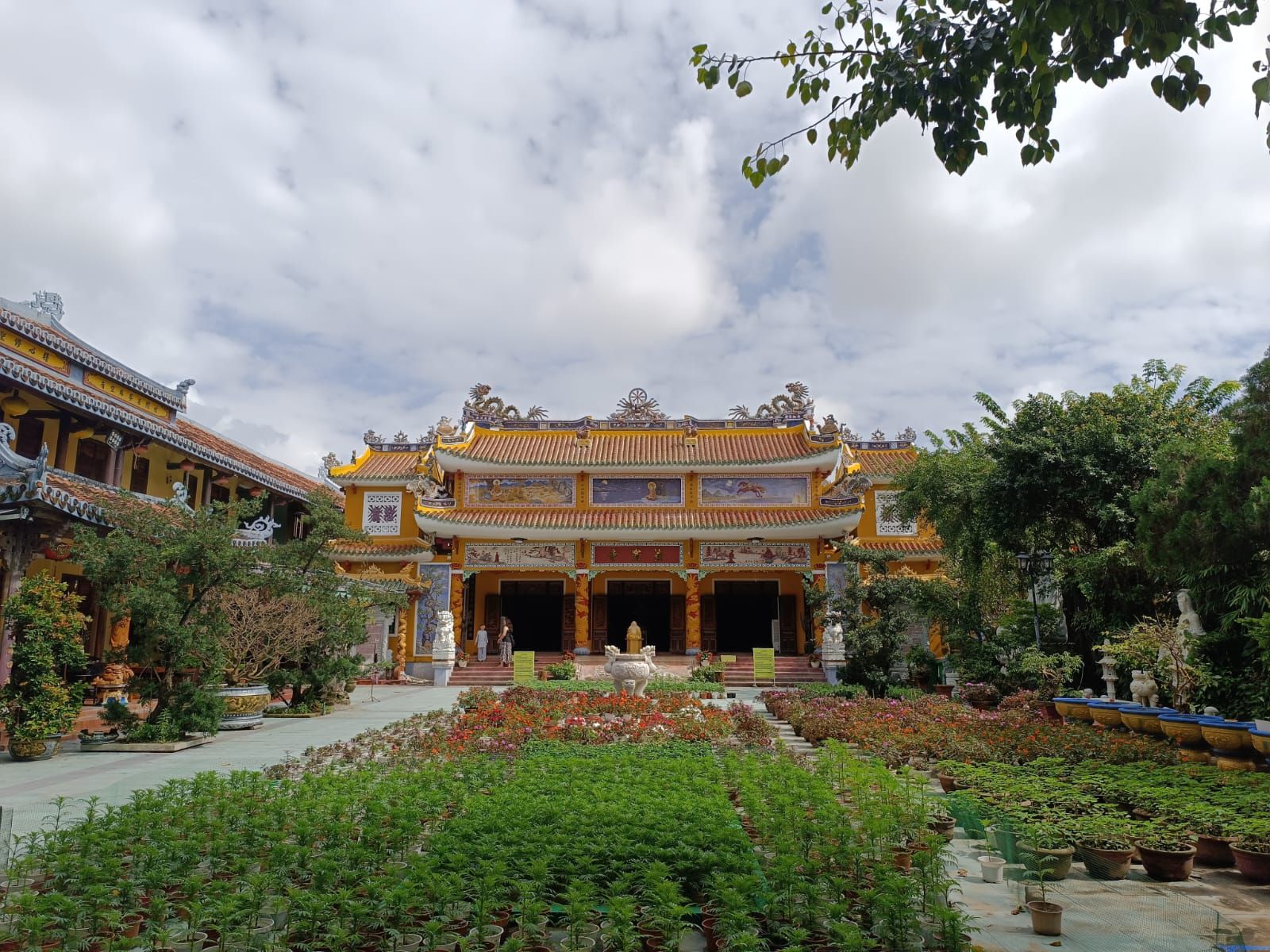 Hoi An Travel Review — Hidden Treasure or Tourist Trap? Honest Thoughts & Tips